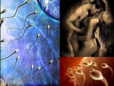 sperma mennyiség növelés